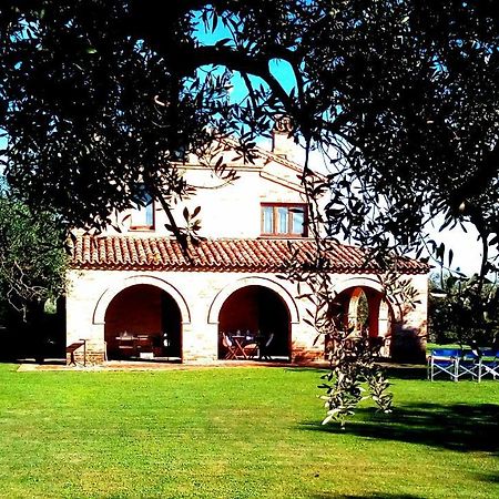 B&B La Casa Tra Gli Ulivi Civitanova Marche Exterior foto